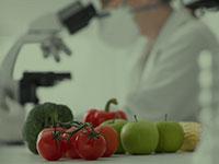 سلامة الغذاء